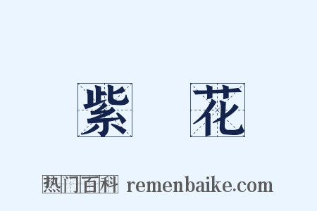 紫陽花是什么意思的图片